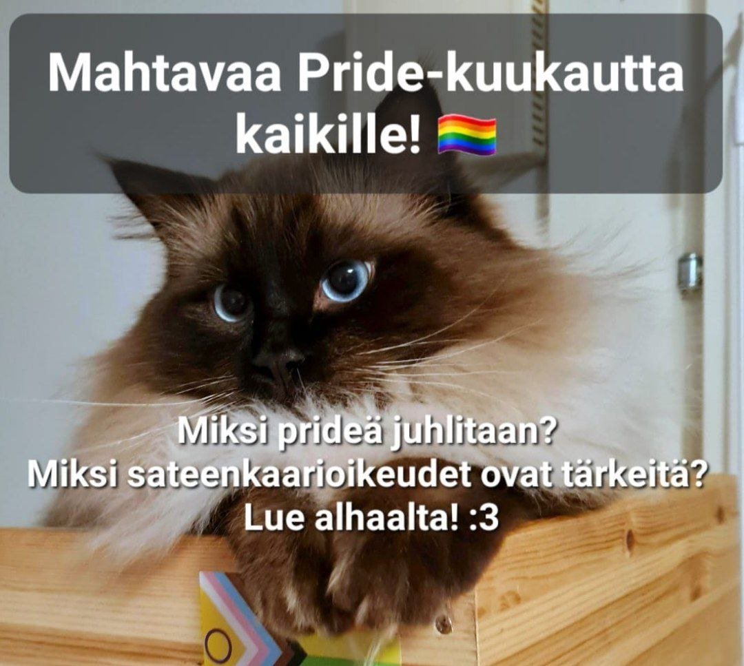 Oikein mahtavaa pride-kuukautta kaikille!