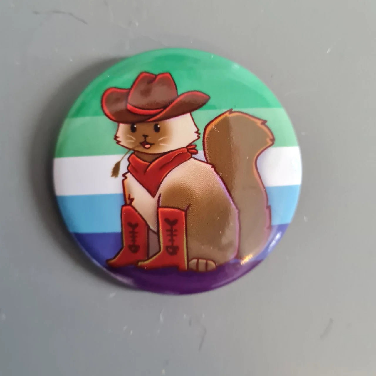 Pride lippu -pinssit