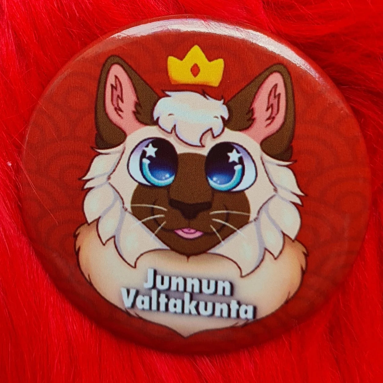 Oyzixin kannatuspinssit