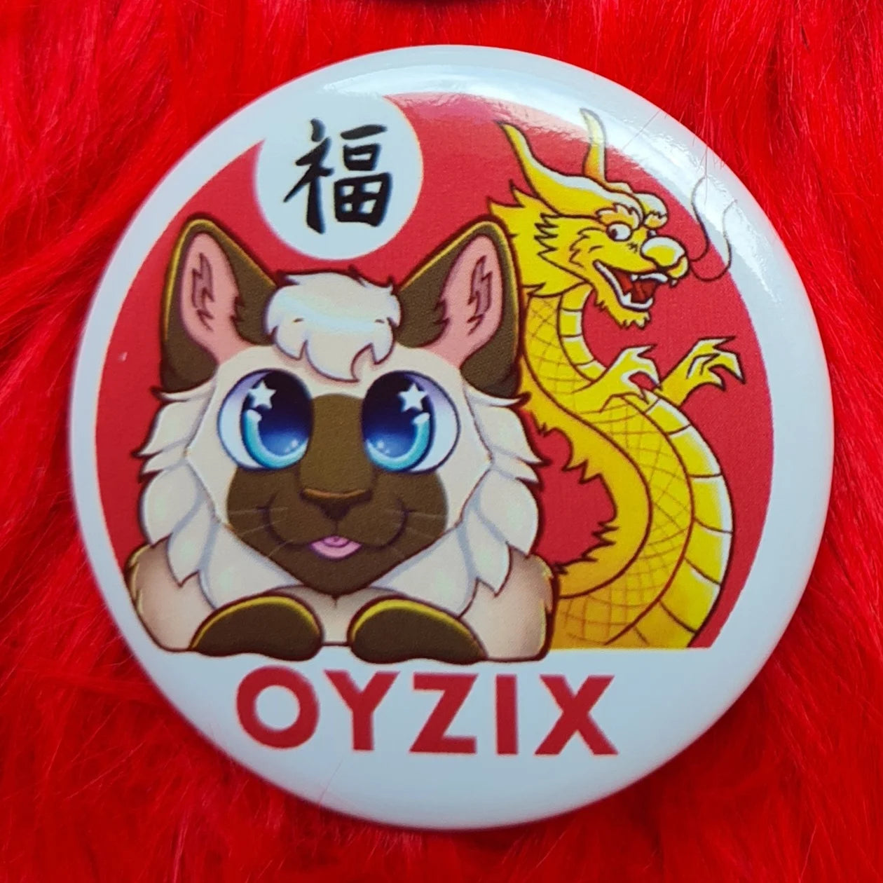 Oyzixin kannatuspinssit