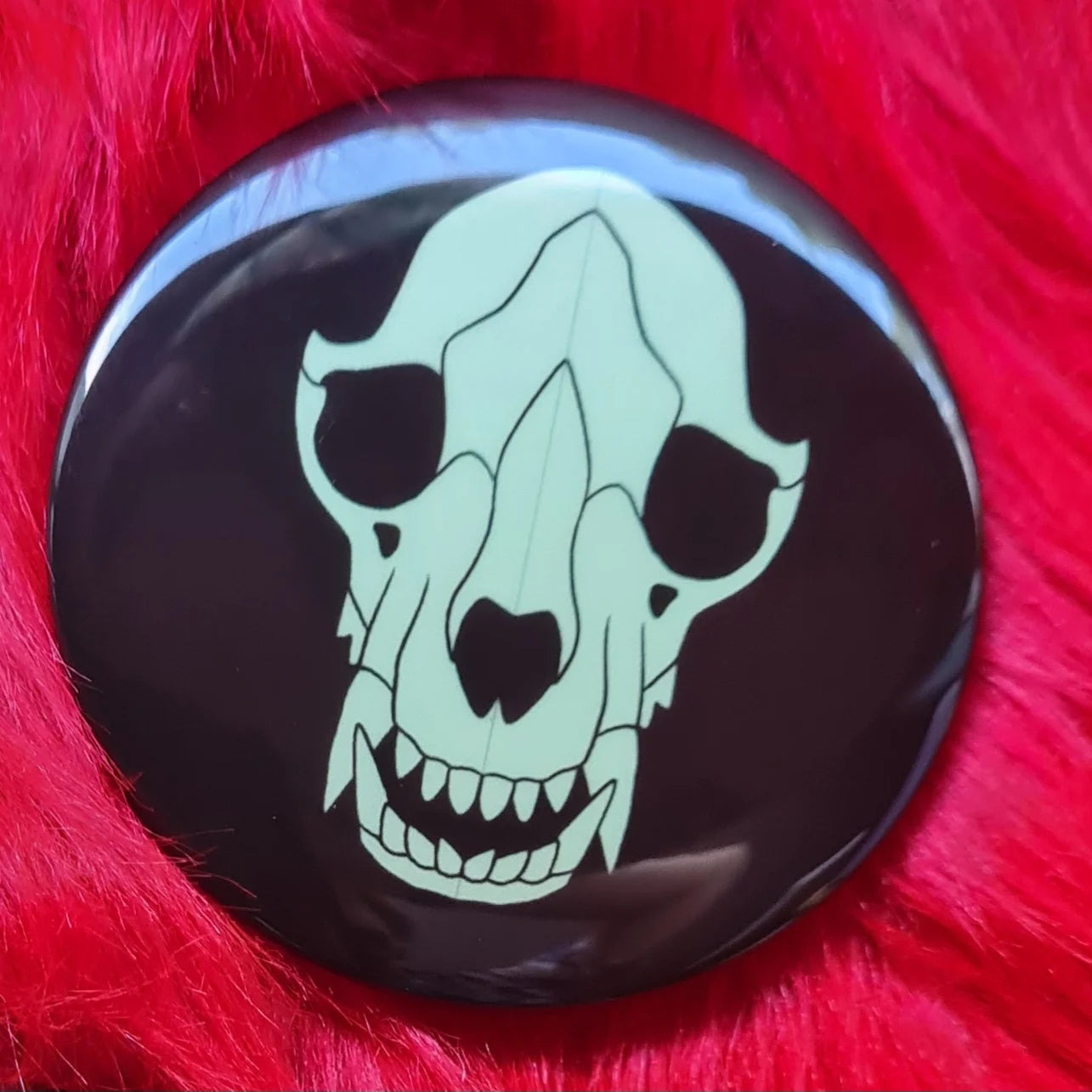 Eläimen kallot, pimeässä hohtavat pinssit