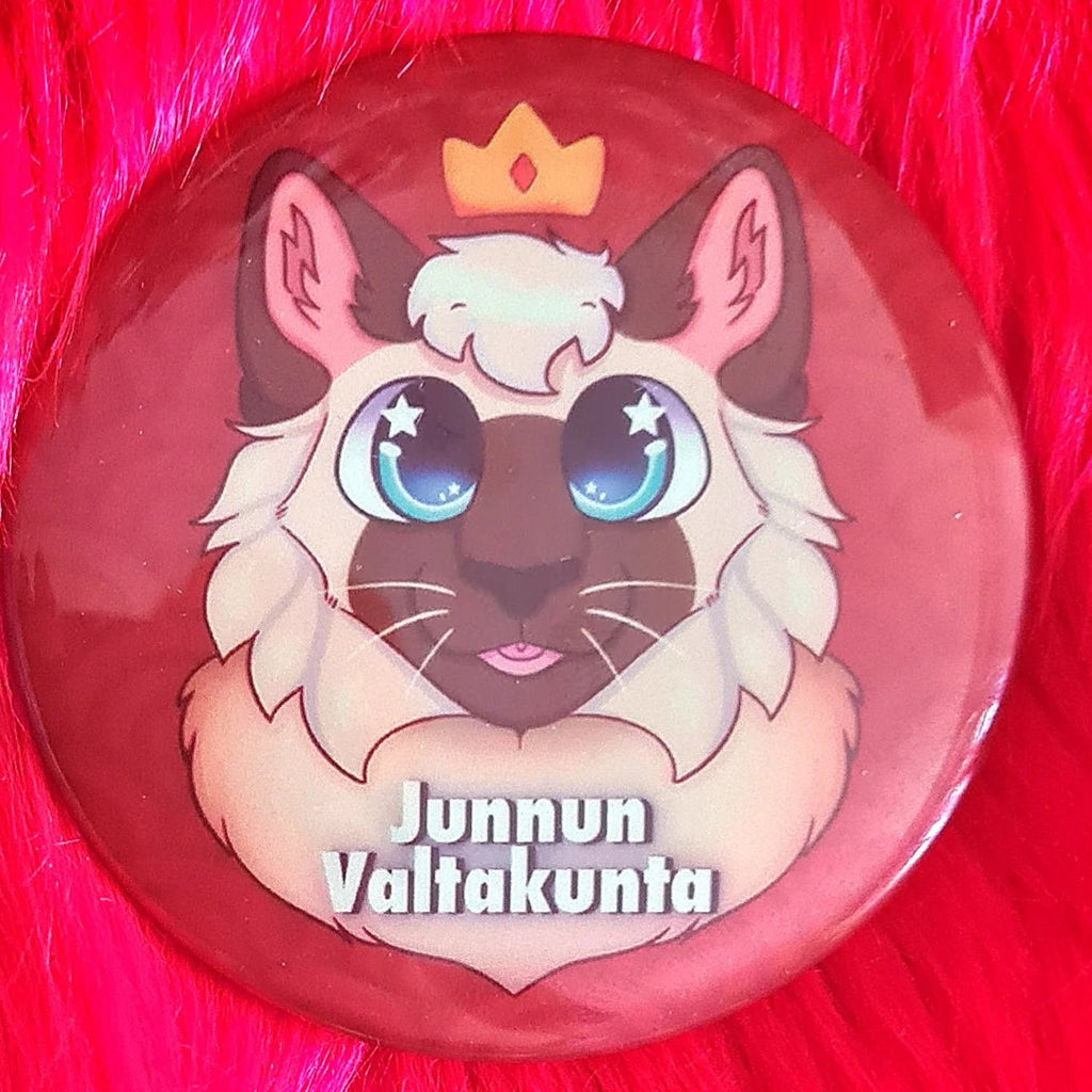 Kissat, pimeässä hohtavat pinssit