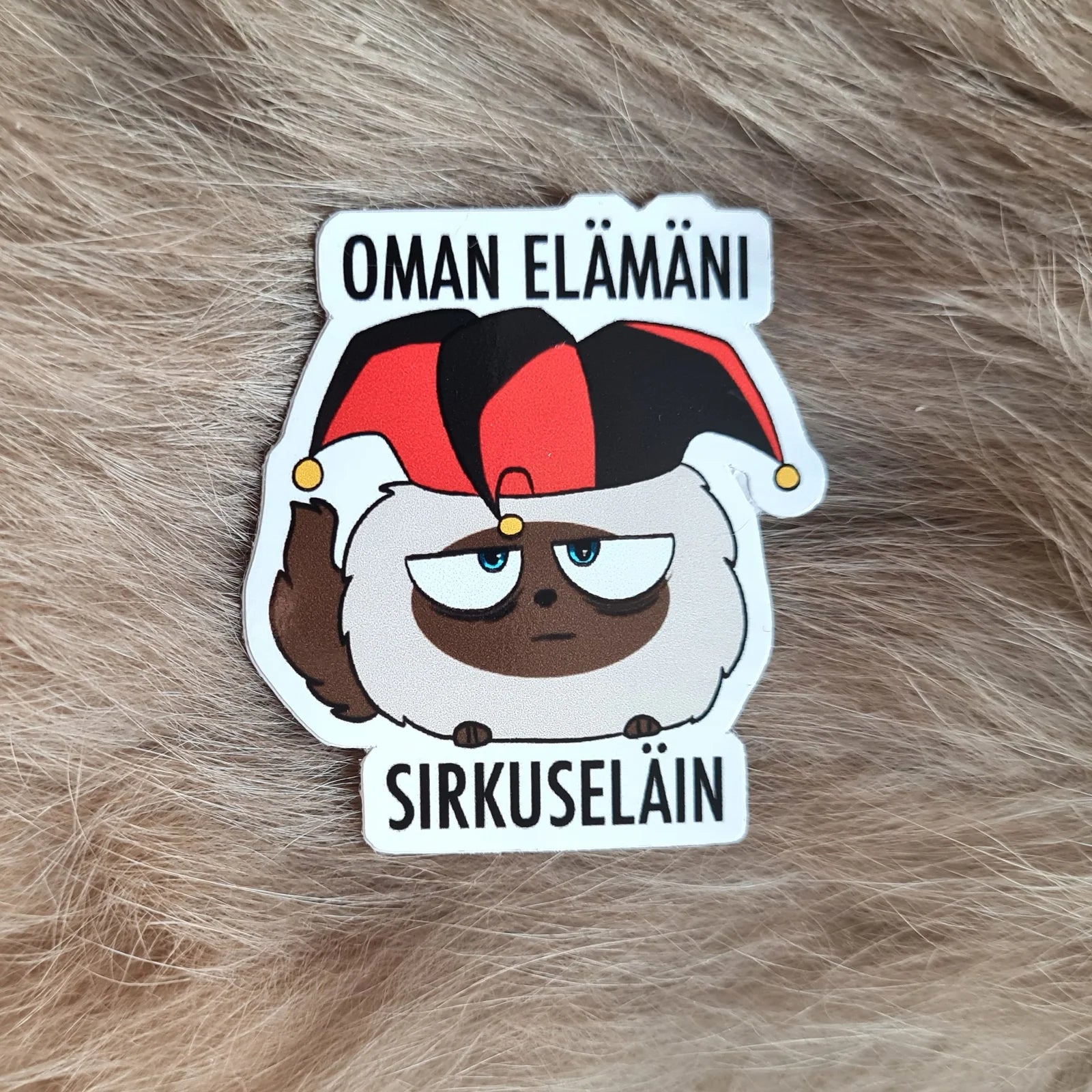 Oman elämäni sirkuseläin, vinyylitarra