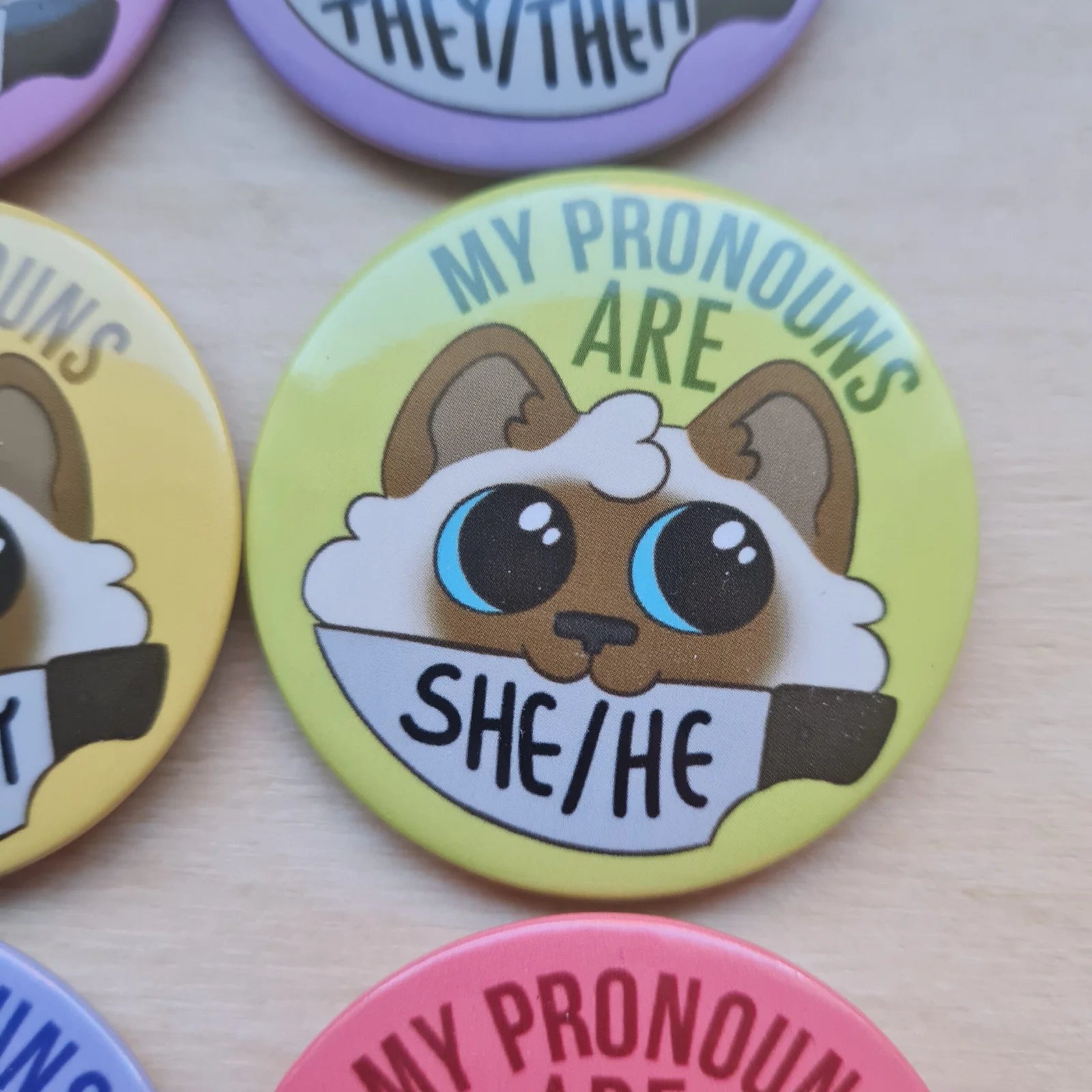 Pronominikissat, pinssi