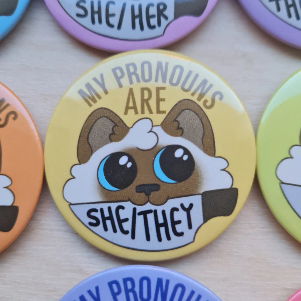 Pronominikissat, pinssi