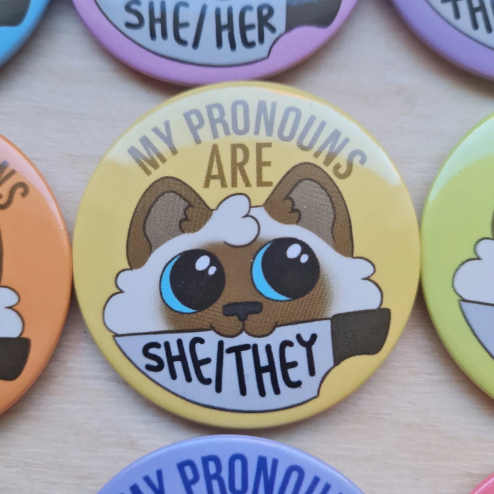 Pronominikissat, pinssi