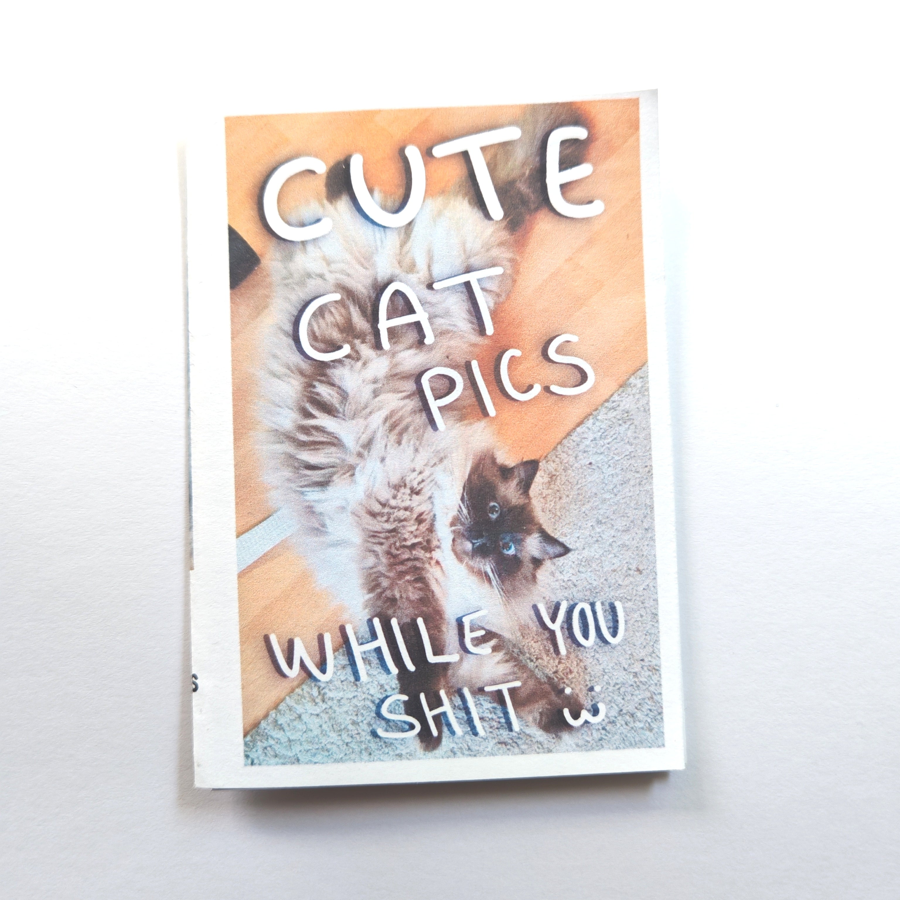 Cute cat pics while you shit -zine A7