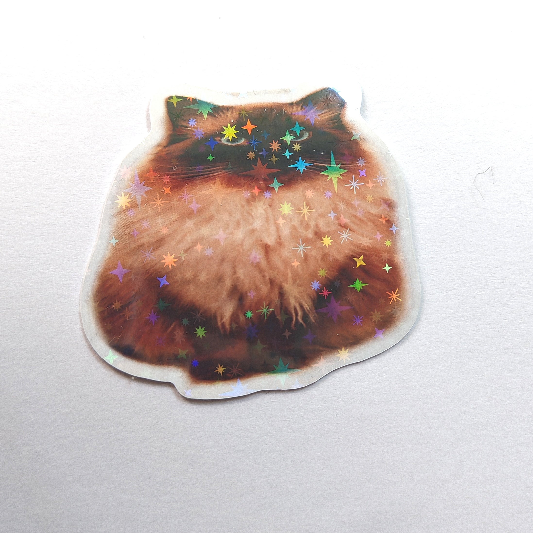 Squished Junnu, holografinen vinyylitarra